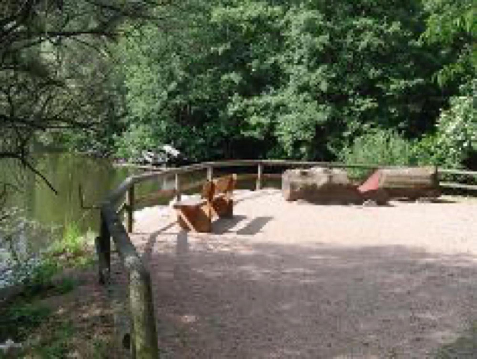 Ferienwohnungen Seeblick Unterkirnach Exterior photo